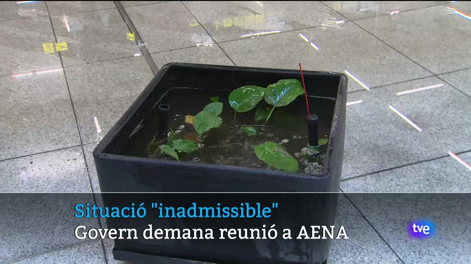 Informatiu Balear 2 - 13/06/24 - Veure ara