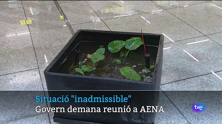 Informatiu Balear - Informatiu Balear 2 - 13/06/24