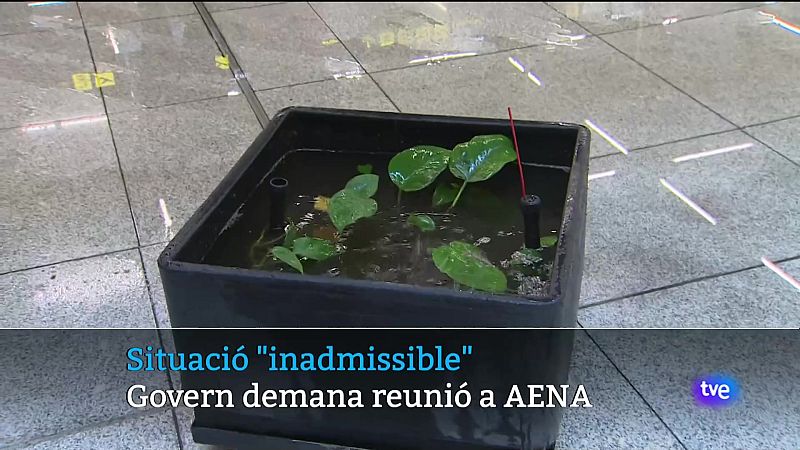 Informatiu Balear 2 - 13/06/24 - Veure ara