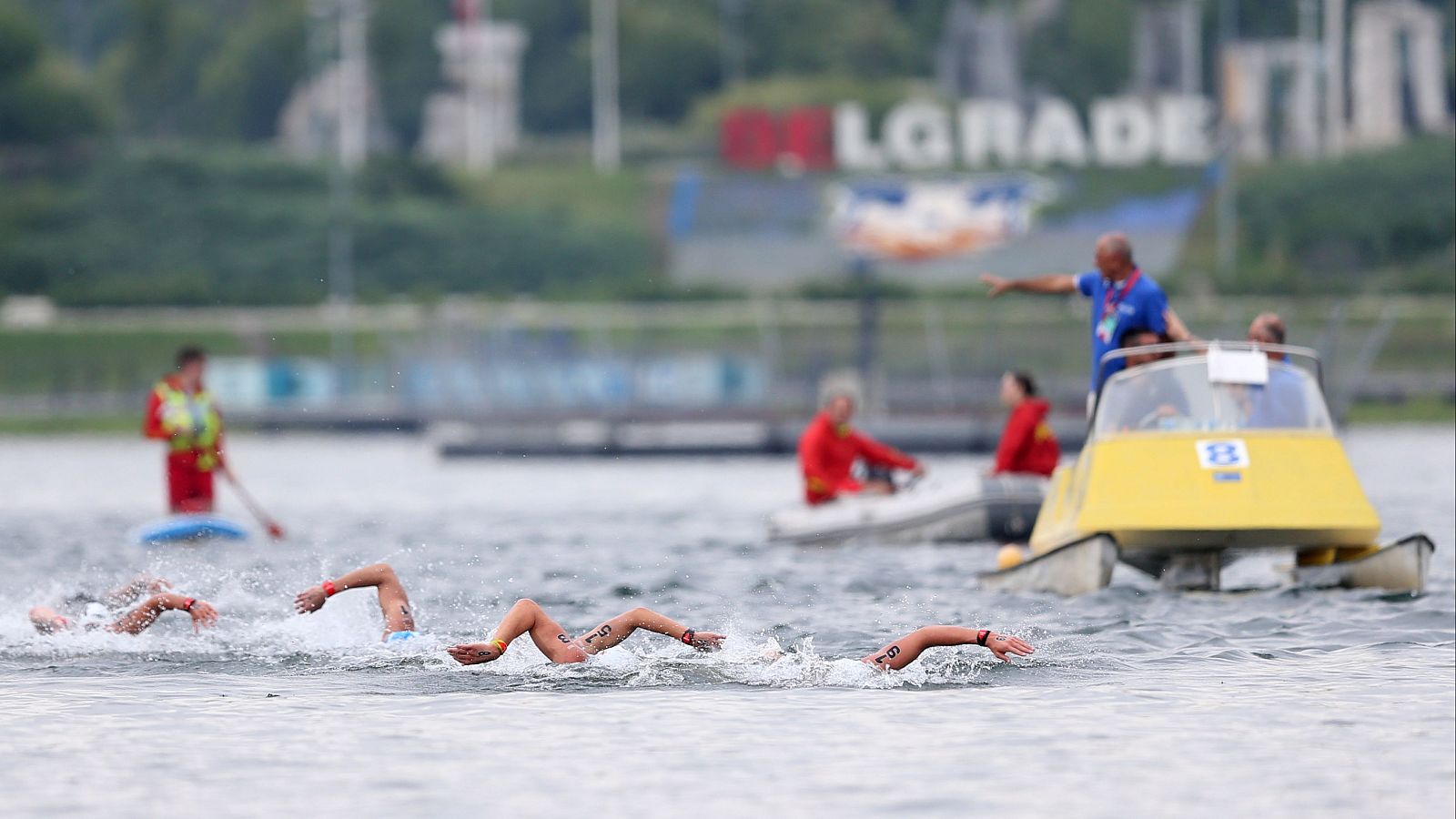 Natación Aguas abiertas - Campeonato de Europa Aguas abiertas. Final 5km masculino - ver ahora