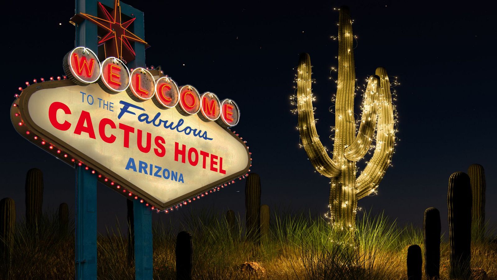 Somos documentales - El Hotel Cactus - ver ahora