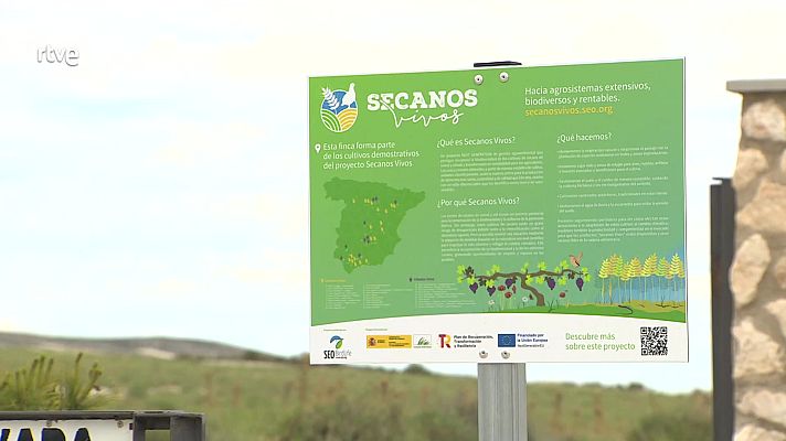 Agrosfera - Agrosfera - 15/06/24