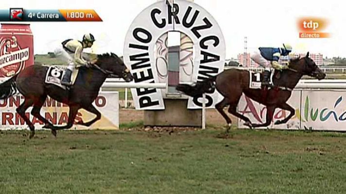 Turf - Turf - 16/12/12