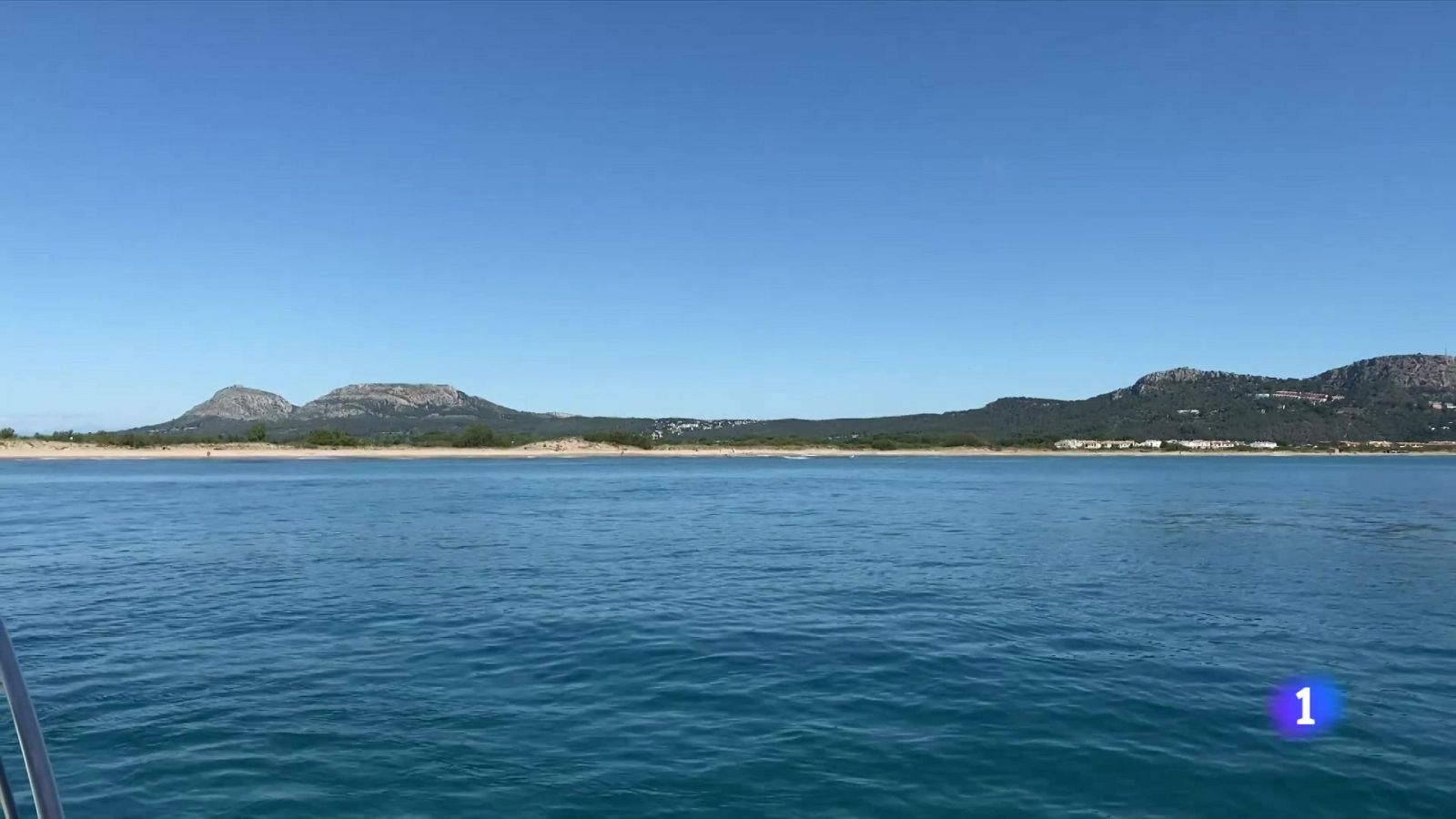 Netejant el fons marí a Torroella de Montgrí i l'Estartit - L'Informatiu | Veure