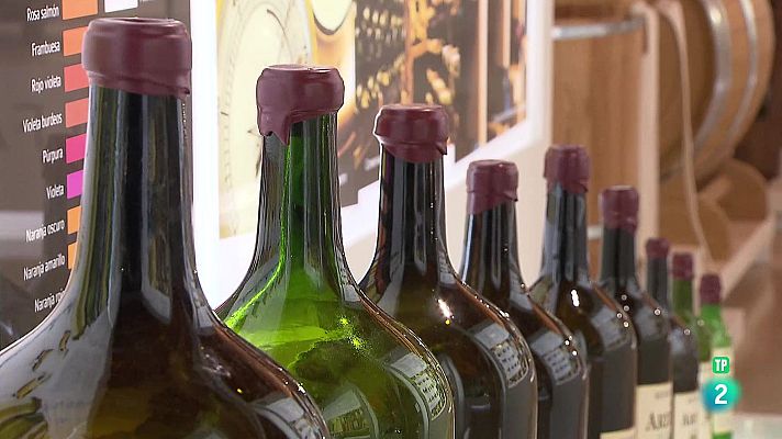 La aventura del Saber - Museo del Vino de Valladolid