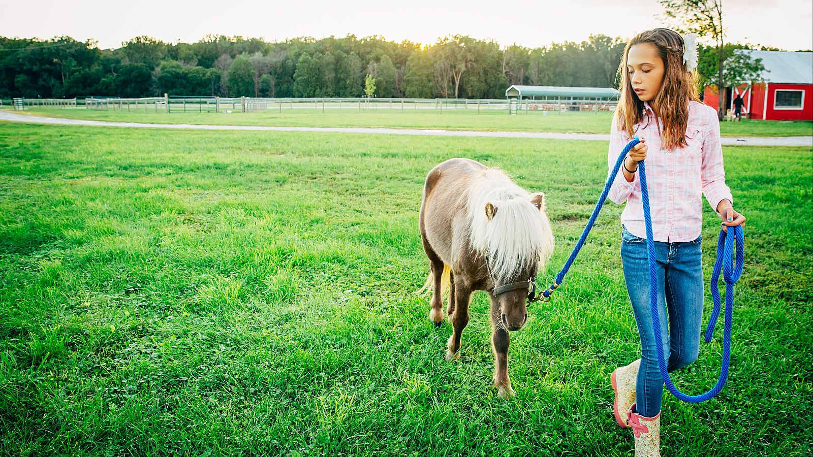 Plan relax: caminar con ponys para aliviar tu estrés - Saber vivir | Ver