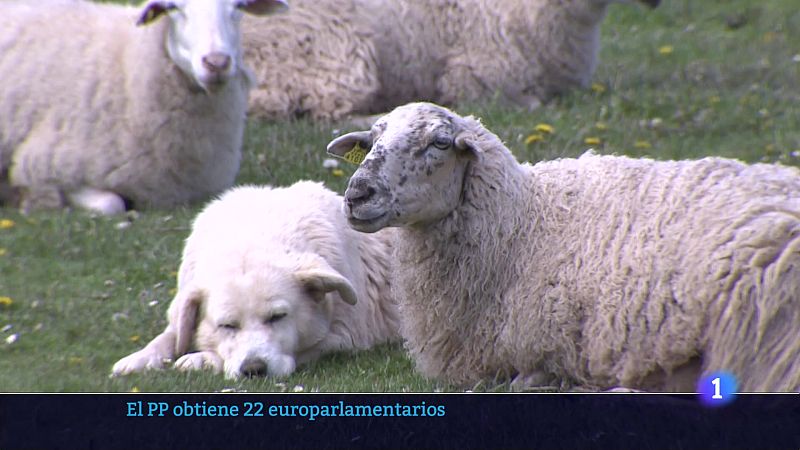 Informativo Telerioja 2 - 18-06-2024 | Ver