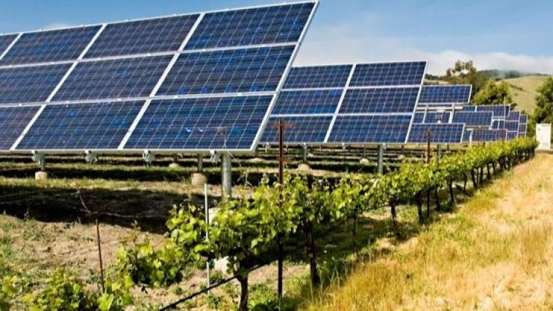 La elevación de los paneles solares beneficia a los cultivos - Para todos La 2 | Ver