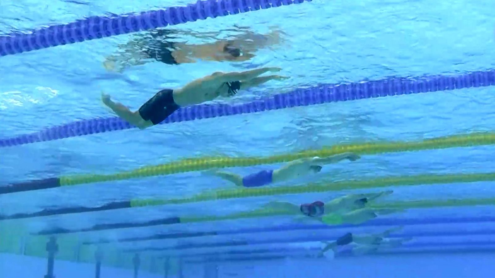 Natación - Campeonato de Europa. Sesión vespertina. Semifinales y finales - 20/06/24 - ver ahora