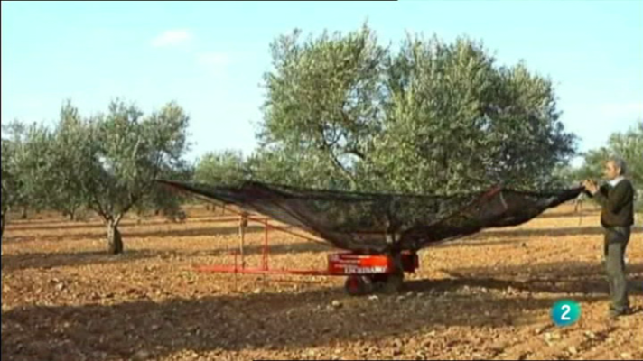 Fábrica de ideas - Inventa: Recolector unipersonal