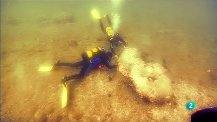 Fábrica de ideas - Innova: Immedea