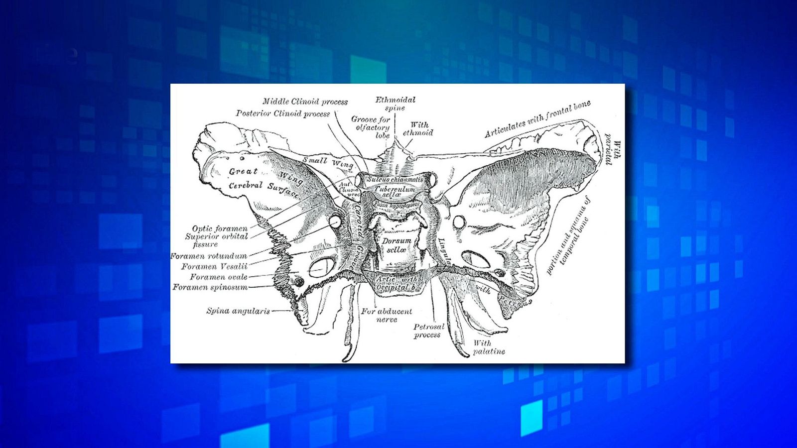 Saber y ganar. Edición de fin de semana - 28/04/24 - ver ahora