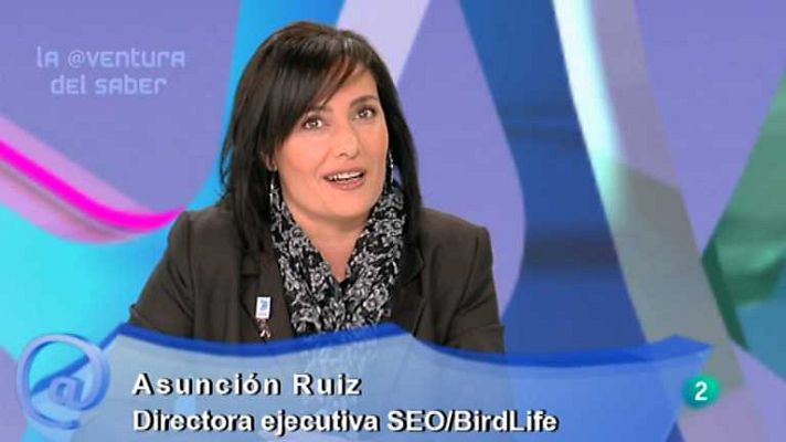 La aventura del Saber - La aventura del saber - 17/12/12