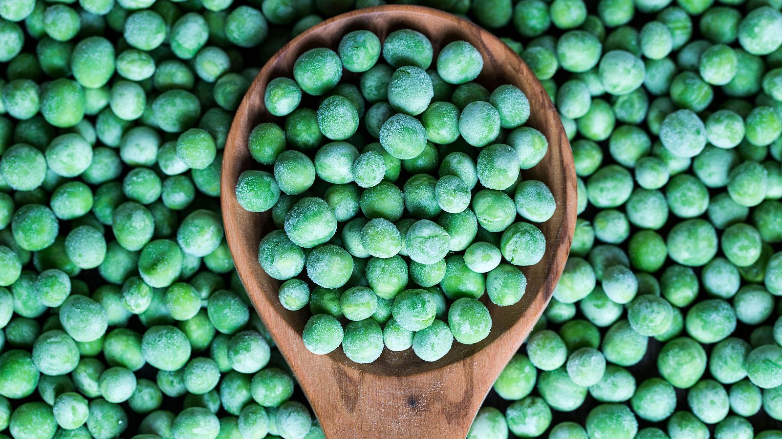 Conserva la cadena de frío de alimentos congelados y refrigerados - Saber vivir | Ver