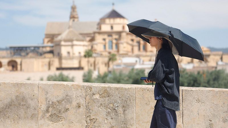 El tiempo matinal - 25/06/2024 - El tiempo | Ver