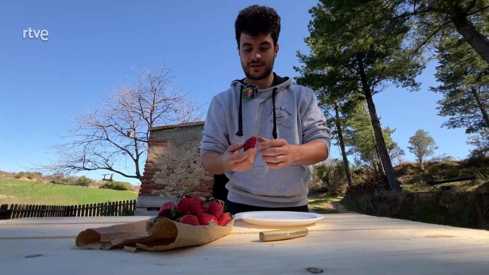 Maduixeres - Va de Verd | RTVE Catalunya - Va de verd | Veure