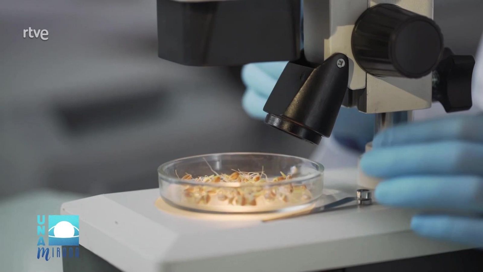 Noticiero Científico y Cultural Iberoamericano | Ver