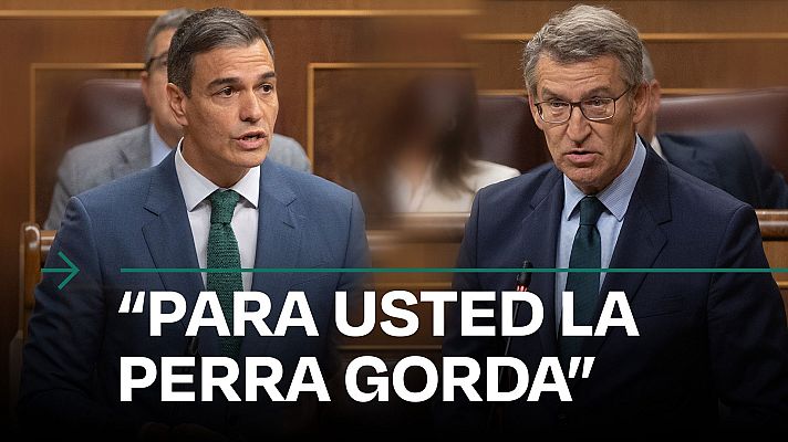 Modo Digital - Sánchez en el cara a cara con Feijóo en el Congreso: "Para usted la perra gorda"