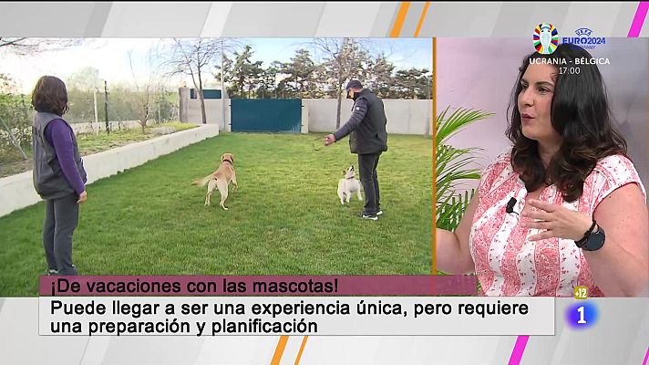 Cerca de ti - Cerca de ti - 26/06/2024