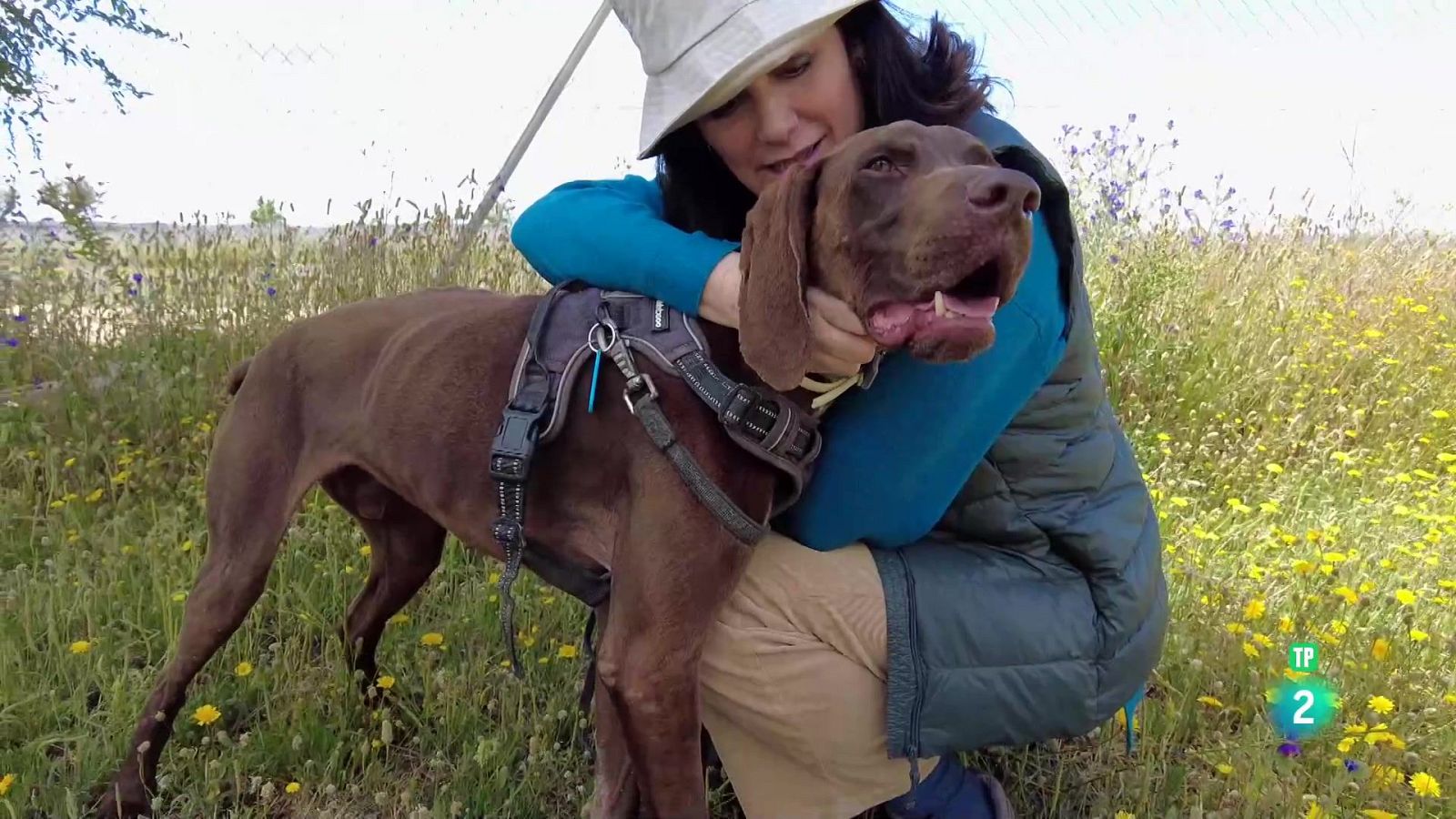 Asociación FEEL | Ver