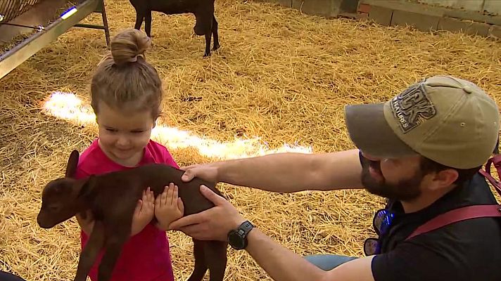 Telediario 1 - Campamentos de oficios en verano, una manera de descubrir distintas profesiones a los más pequeños