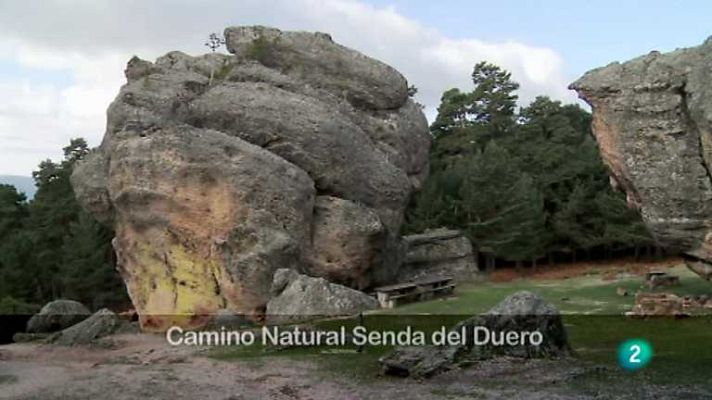 Biodiario - Biodiario  - 17/12/12