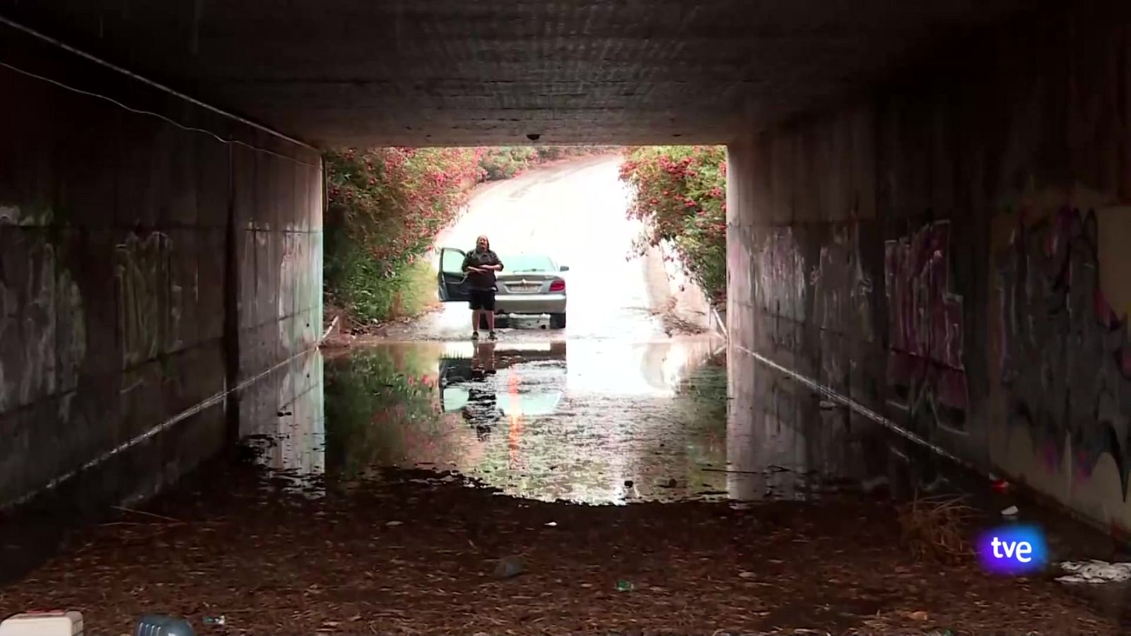 L'Informatiu de la Comunitat Valenciana 2 - 01/07/24 | Ver