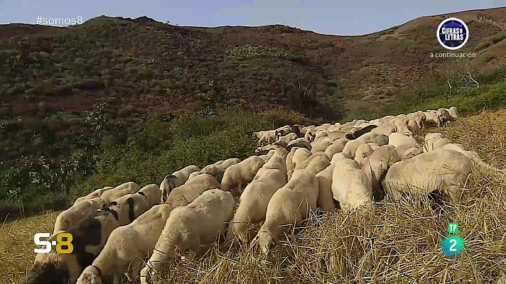 Somos 8 - Somos 8 - 03/07/2024