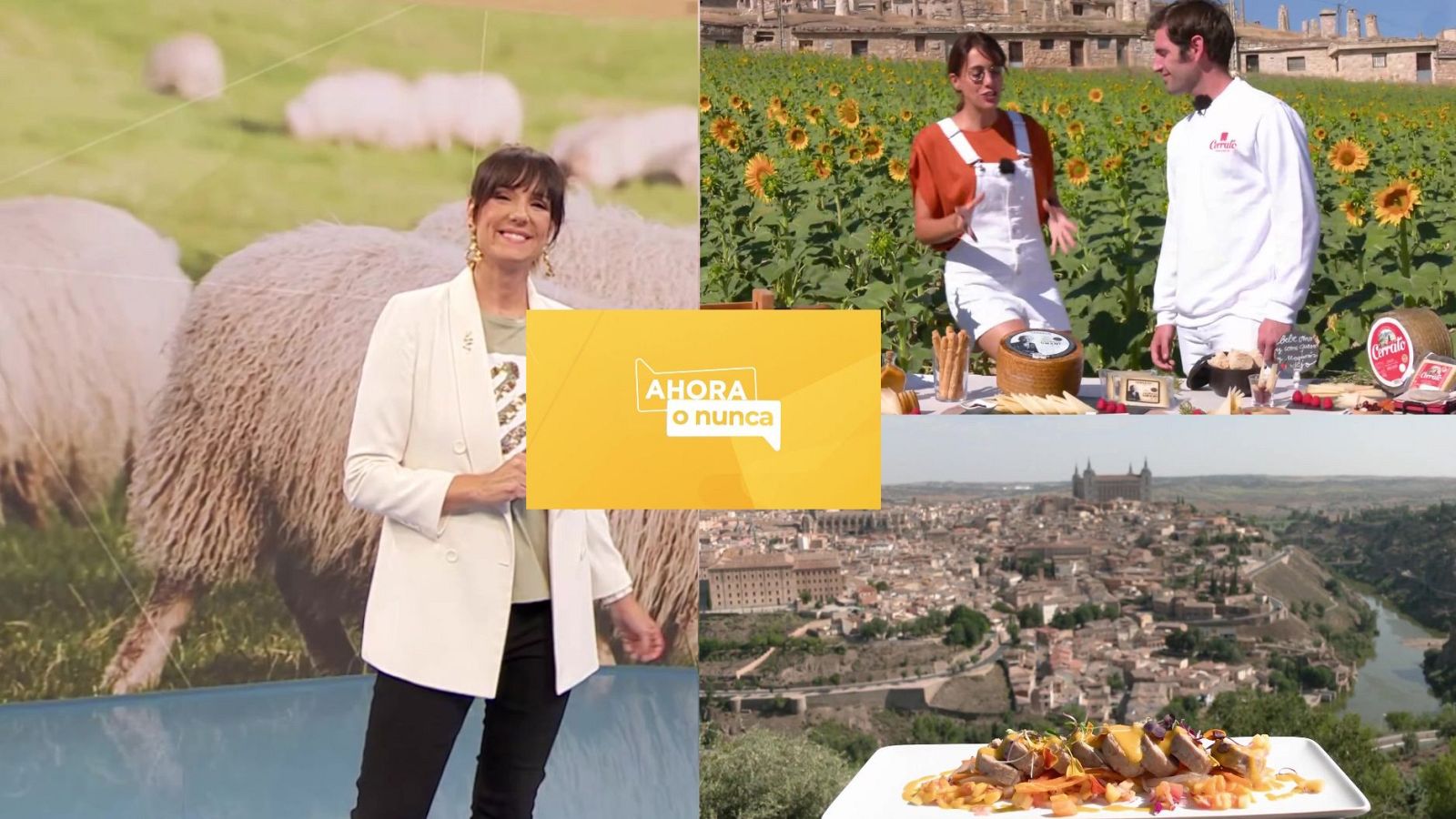 Ahora o nunca - Verano - Programa 5 - ver ahora