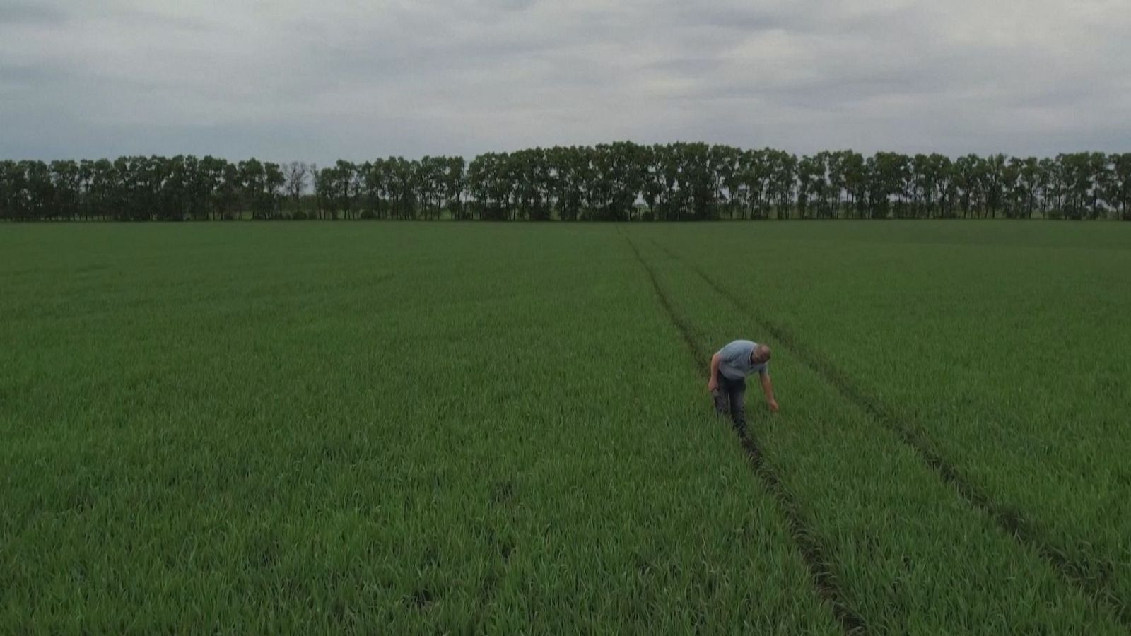 Agrosfera - 06/07/24 - ver ahora