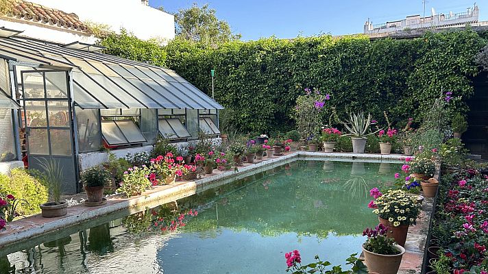 Jardines con historia - Los patios del Palacio de Viana