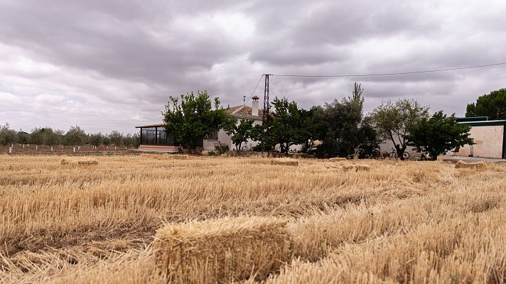 Asesinada una mujer en Antequera (Málaga) y detenida su pareja, un hombre de 62 años