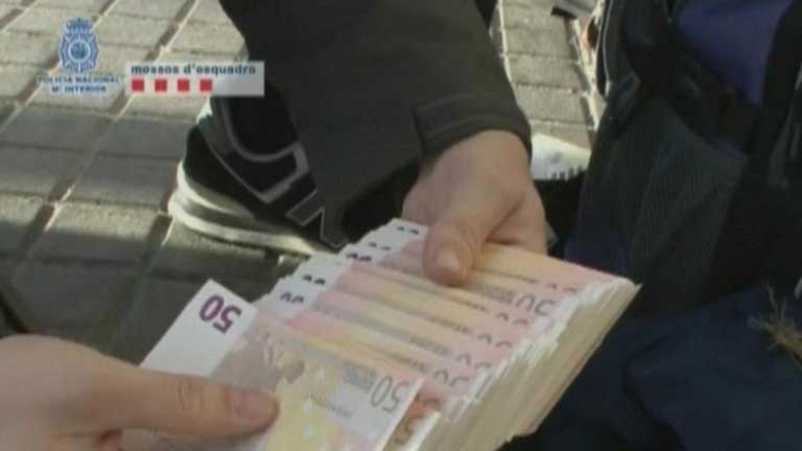 Once detenidos por introducir en España 100.000 euros mensuales en billetes falsificados