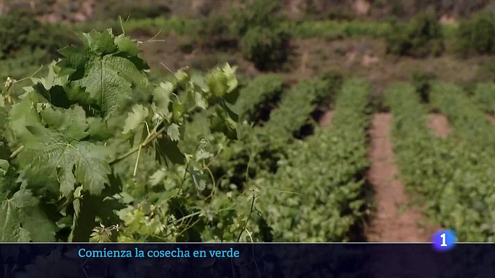 Informativo Telerioja - Telerioja en 2' - 08/07/24