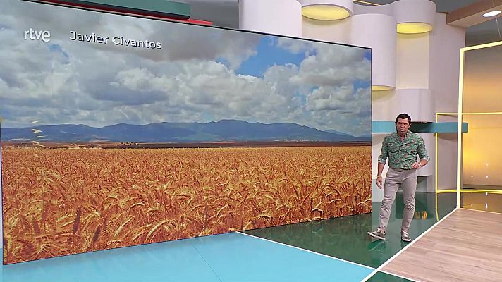 Aquí la Tierra - Aquí la Tierra - 08/07/24