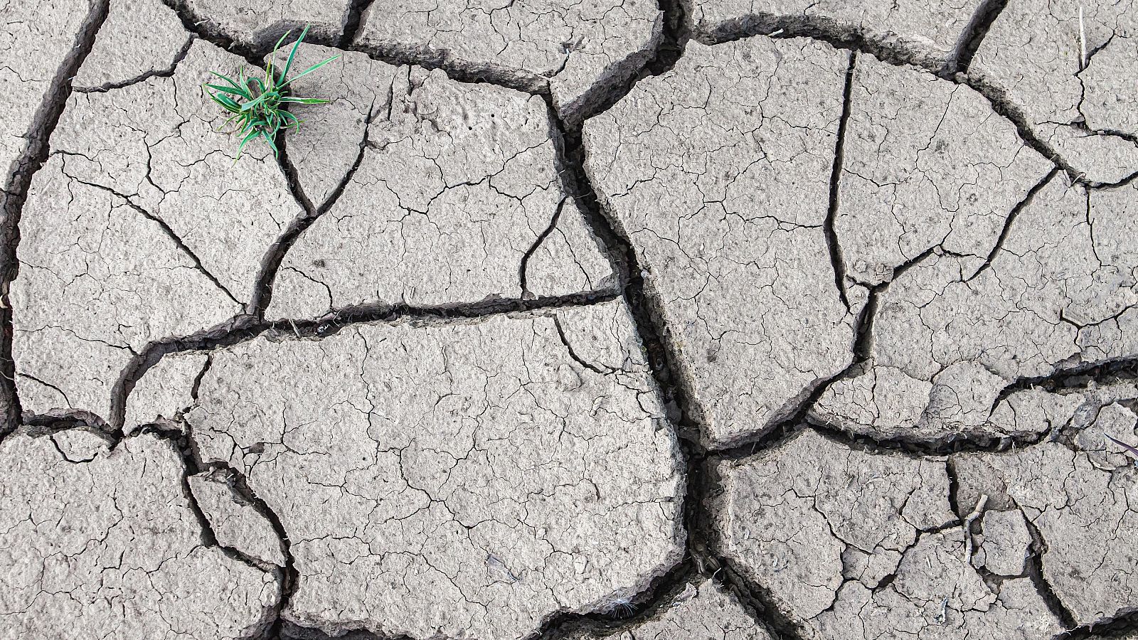 España, candidata perfecta a la desertificación - Telediario 1 | Ver