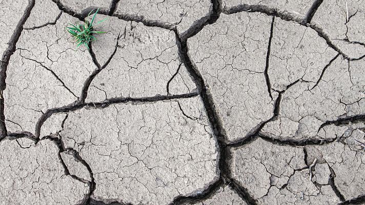 Telediario 1 - España, candidata perfecta a la desertificación