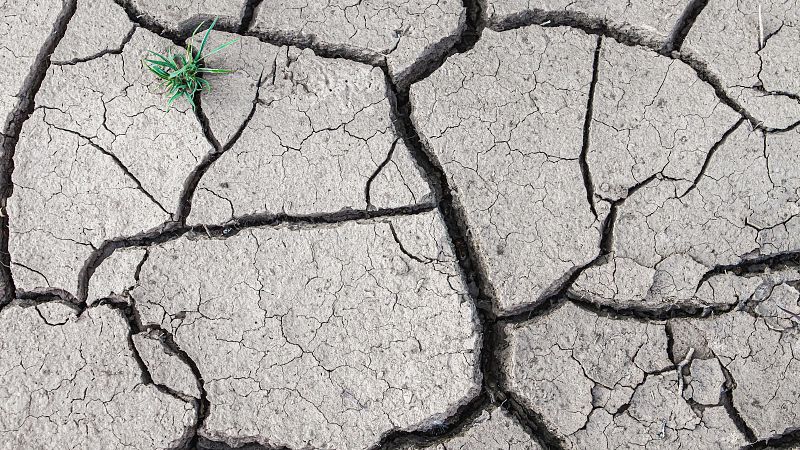 España, candidata perfecta a la desertificación - Telediario 1 | Ver