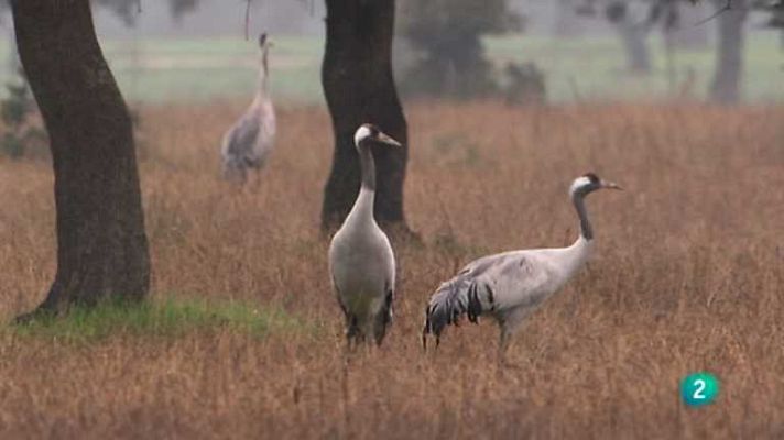 Biodiario - Biodiario - 18/12/12