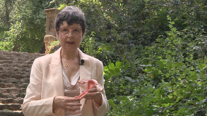 Objetivo igualdad - ¿Qué secuelas físicas y psicológicas puede tener una histerectomía?