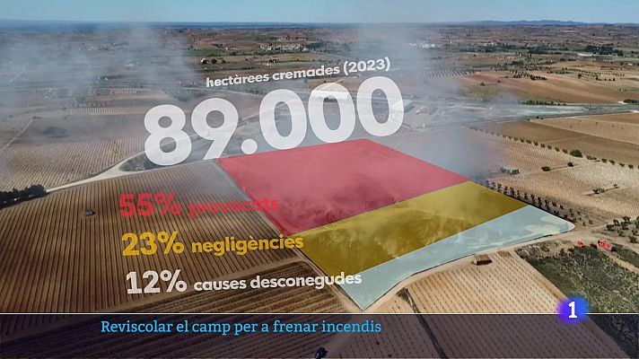 L'informatiu - Comunitat Valenciana - L'Informatiu de la Comunitat Valenciana 1 - 10/07/24