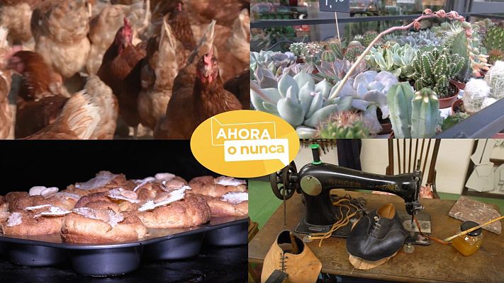 Ahora o nunca - Verano - Programa 9