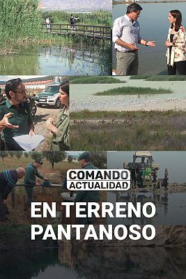 Comando Actualidad - En terreno pantanoso