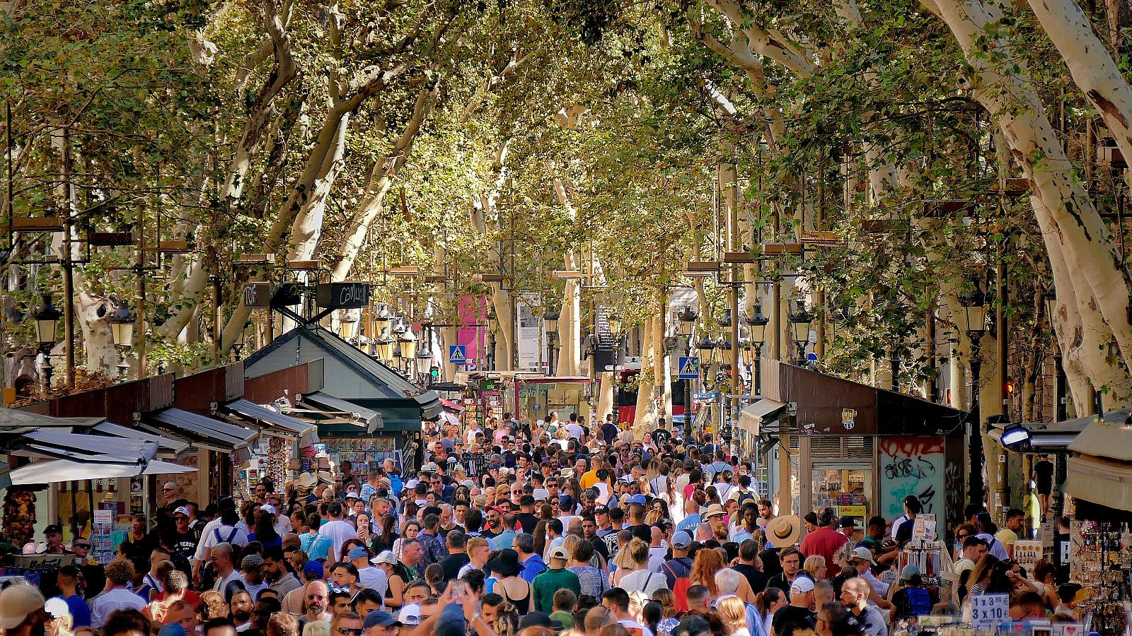 El turismo crecerá un 5,3% más que el año pasado | Ver