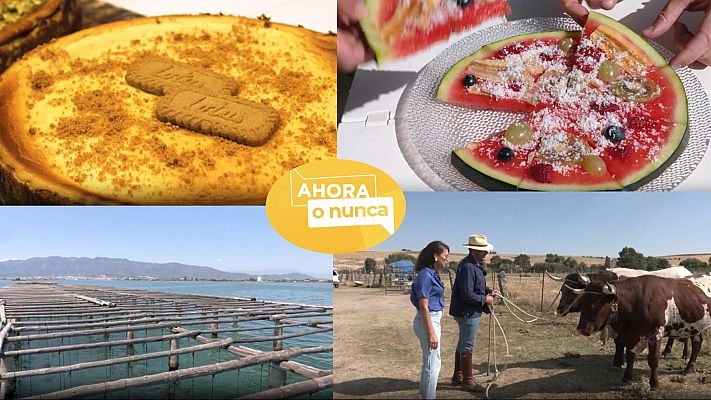 Ahora o nunca - Verano - Programa 10