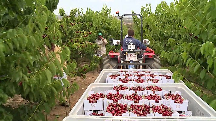 Agrosfera - Agrosfera - 13/07/24