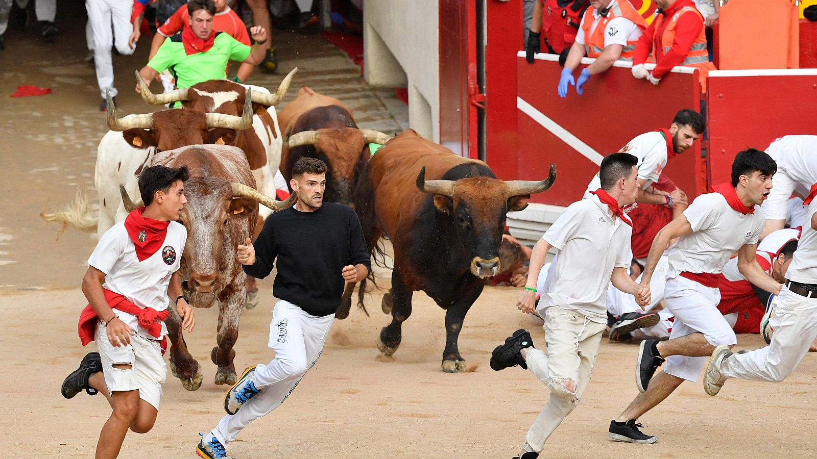 Los mticos toros de Miura cierran el ltimo encierro de San Fermn con una carrera emocionante y peligrosa