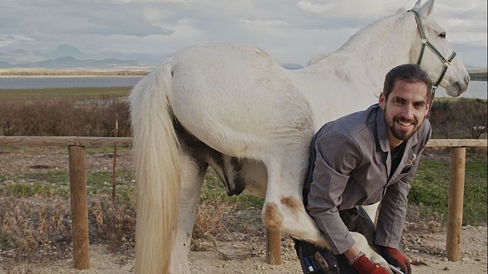 Vuelvo a empezar - Puerto Naos (La Palma)