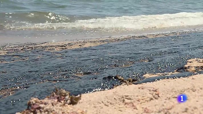 L'informatiu - Comunitat Valenciana - L'Informatiu de la Comunitat Valenciana 1 - 29/02/24