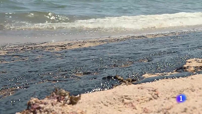 L'Informatiu de la Comunitat Valenciana 1 - 29/02/24 | Ver